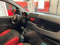 Fiat Panda 1.2 Van  2 posti Euro 6D-Temp 69cv Bianco - thumbnail 13
