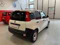 Fiat Panda 1.2 Van  2 posti Euro 6D-Temp 69cv Bianco - thumbnail 5