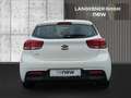 Kia Rio Neon 1.25 MPI Weiß - thumbnail 5