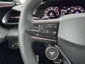 CUPRA Terramar 1.5 eTSI DSG 150CV KM0 *Edge+Sennheiser* ONLYPROMO Weiß - thumbnail 25