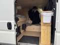 Citroen Jumper - Camperausbau, Campervan, LKW-Zulassung - thumbnail 10