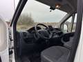 Citroen Jumper - Camperausbau, Campervan, LKW-Zulassung - thumbnail 6