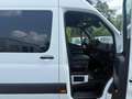Mercedes-Benz Sprinter III 319 CDI L2 KLIMA NAVI KAMERA TEMPOM Blanc - thumbnail 9