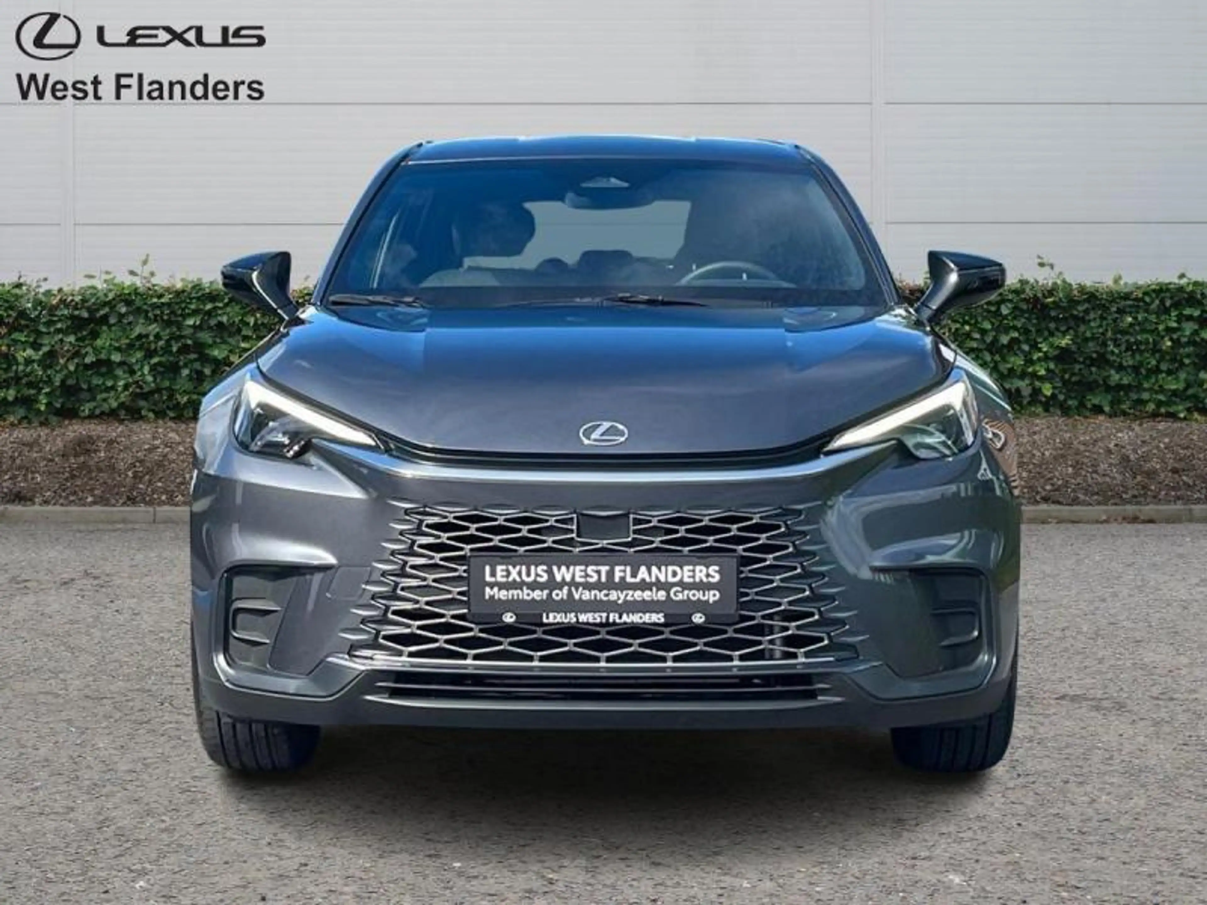 Lexus LBX Base+cam+dab+17inch alu velgen — photo 2