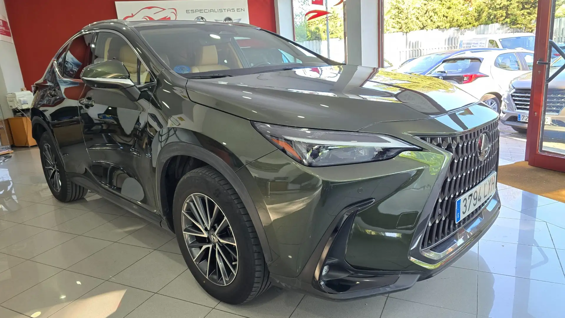 Lexus NX 300h 450h+ Executive 4WD Zelená - 1