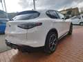 Alfa Romeo Stelvio 2.2 Turbodiesel 210 CV AT8 Q4 Veloce KM ZERO Bianco - thumbnail 9
