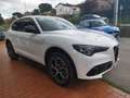 Alfa Romeo Stelvio 2.2 Turbodiesel 210 CV AT8 Q4 Veloce KM ZERO Bianco - thumbnail 4