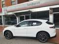 Alfa Romeo Stelvio 2.2 Turbodiesel 210 CV AT8 Q4 Veloce KM ZERO Bianco - thumbnail 6