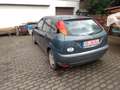 Ford Focus Focus Ambiente Zielony - thumbnail 9
