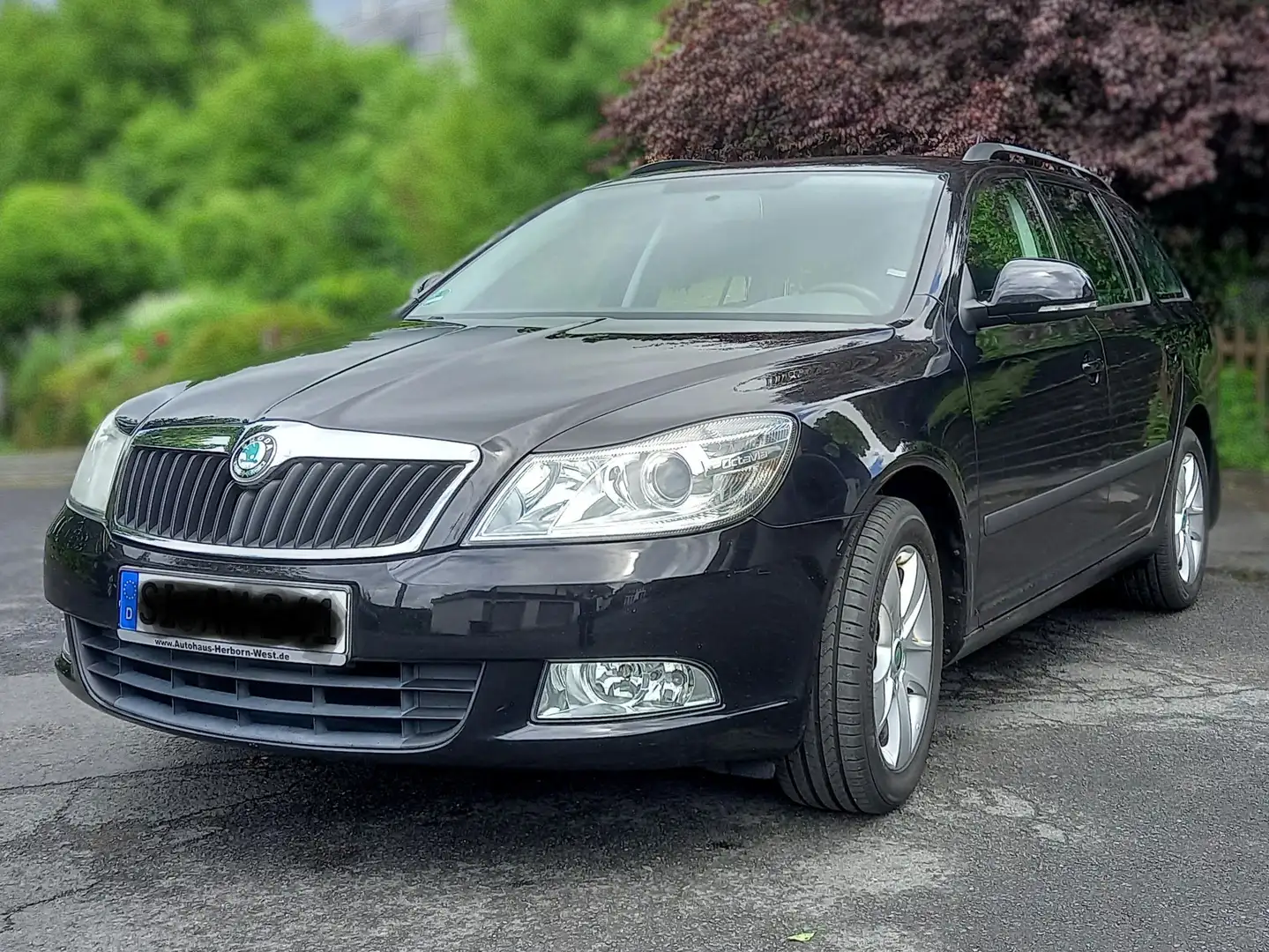 Skoda Octavia Octavia Combi 1.4 TSI Ambition Schwarz - 1