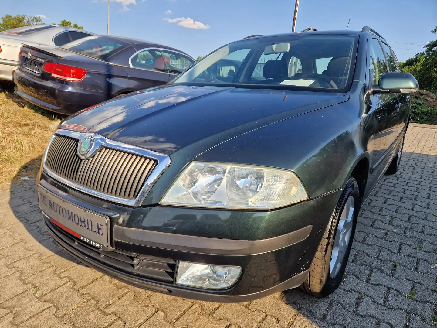 Skoda Octavia 4X4 Grün - 2