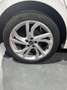 Volkswagen Polo 1.0 TSI FIRST EDITION DSG Weiß - thumbnail 10