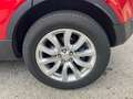 Land Rover Range Rover Evoque 2.2L SD4 Pure 4x4 190 Aut. Paars - thumbnail 18