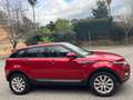Land Rover Range Rover Evoque 2.2L SD4 Pure 4x4 190 Aut. Paars - thumbnail 13