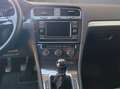 Volkswagen Golf Variant TDI SCR Grau - thumbnail 11