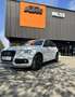 Audi SQ5 3,0 TDI quattro DPF Tiptronic - thumbnail 1