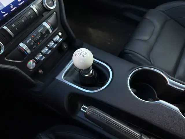Ford Mustang view 10