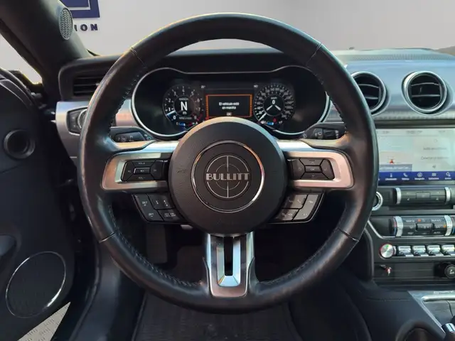 Ford Mustang view 13