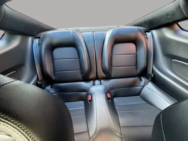 Ford Mustang view 12