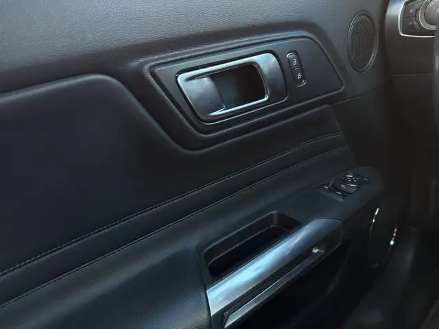 Ford Mustang view 14
