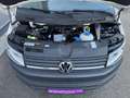 Volkswagen T6 Transporter Kastenwagen KR 2,0 TDI *PICKERL NEU*LED*GARANTIE* Weiß - thumbnail 7