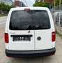 Volkswagen Caddy Nfz Maxi Kasten EcoProfi BMT/ TÜV NEU Weiß - thumbnail 14