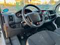 Peugeot Boxer KO LBW 165 TÜV/Service/Reifen NEU *Erstbesitz* Weiß - thumbnail 13
