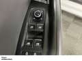 Volkswagen Touareg 3.0 TDI 4M tiptr. IQ.Light NAV PAN AHK R-Line Weiß - thumbnail 10