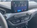 Ford Focus V Focus 1.0t ecoboost h ST-Line 125cv Blu/Azzurro - thumbnail 12