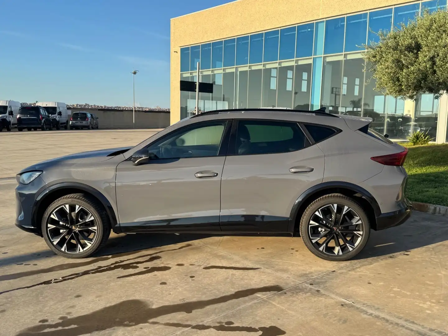 CUPRA Formentor 2.0 tdi dsg possibilità noleggio no scoring Gris - 2