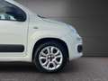 Fiat Panda 0.9 TwinAir Turbo Nat. Power Easy Blanc - thumbnail 24
