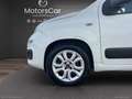 Fiat Panda 0.9 TwinAir Turbo Nat. Power Easy Blanc - thumbnail 16