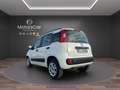 Fiat Panda 0.9 TwinAir Turbo Nat. Power Easy Blanc - thumbnail 4