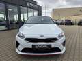 Kia Ceed / cee'd Ceed GT*Led*Pano*Digi-Tacho*E-Sitz*Voll*JBL* Blanc - thumbnail 9