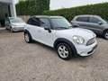 MINI Cooper D Countryman Mini 1.6 Cooper D Countryman Neopatentati Blanc - thumbnail 3