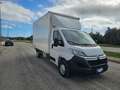 Citroen Jumper 35 BlueHDi 140 S&S PLM CASSA RUOTE SINGOLE Blanc - thumbnail 3