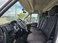 Citroen Jumper 35 BlueHDi 140 S&S PLM CASSA RUOTE SINGOLE Blanc - thumbnail 12