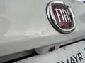 Fiat Tipo Lounge Weiß - thumbnail 6