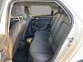 Audi A1 citycarver 25TFSI 5-Gang *GRA*Bluetooth*SHZ*PDC Wit - thumbnail 13