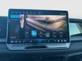 Volkswagen Tayron R-Line TDI 4MOTION DSG Grün - thumbnail 14