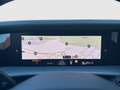 Volkswagen Tayron R-Line TDI 4MOTION DSG Grün - thumbnail 19