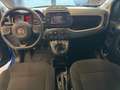 Fiat Panda 1.0 FireFly S&S Hybrid City Cross Bleu - thumbnail 14