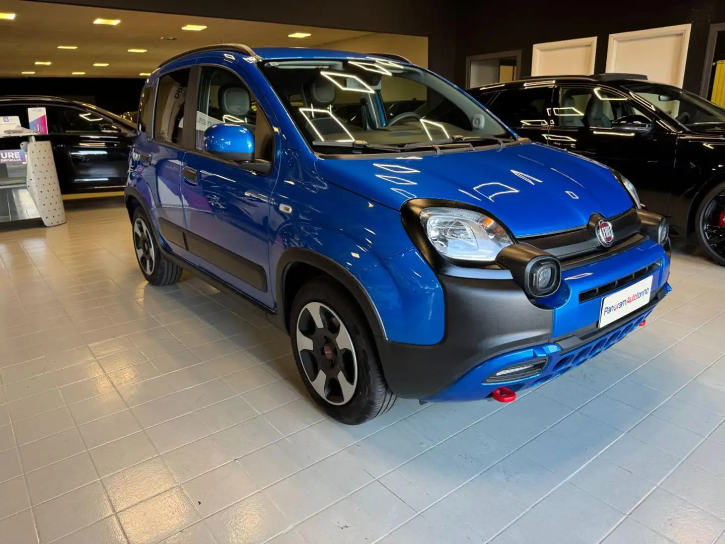 Fiat Panda 1.0 FireFly S&S Hybrid City Cross Bleu - 1