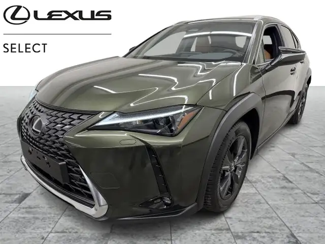 Lexus UX 250h Business Line