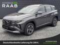 Hyundai TUCSON Family Design-Paket Grau - thumbnail 1