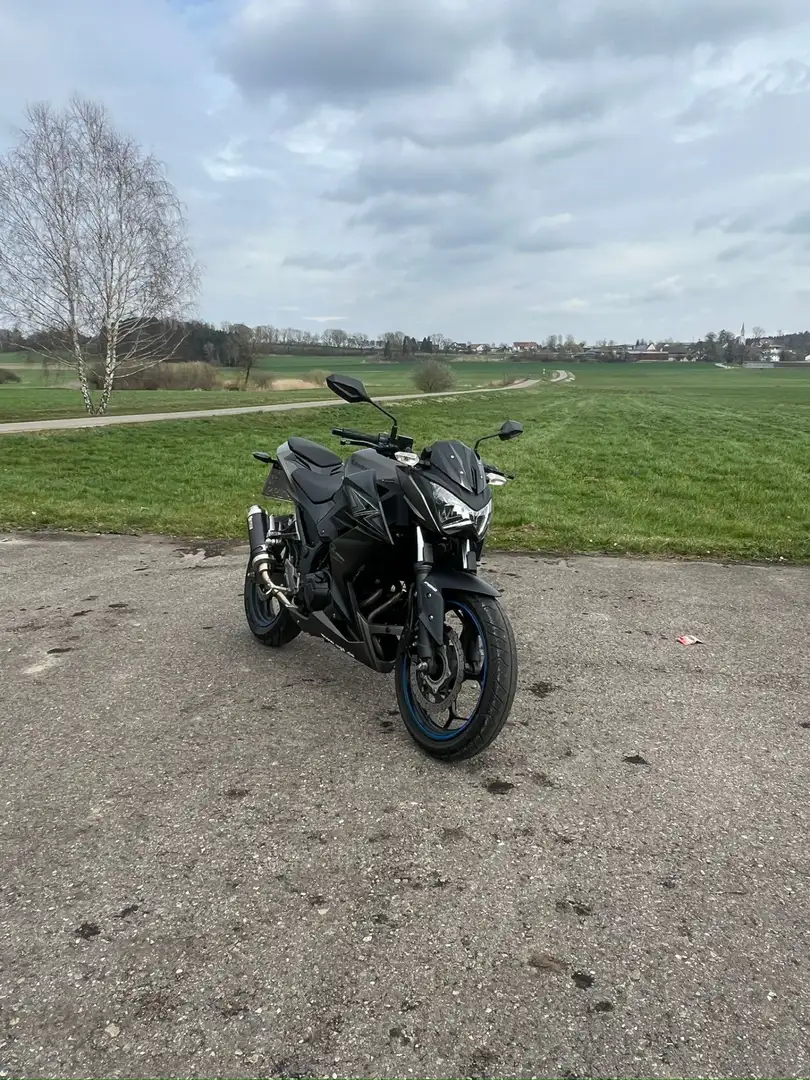 Kawasaki Z 300 Grigio - 2