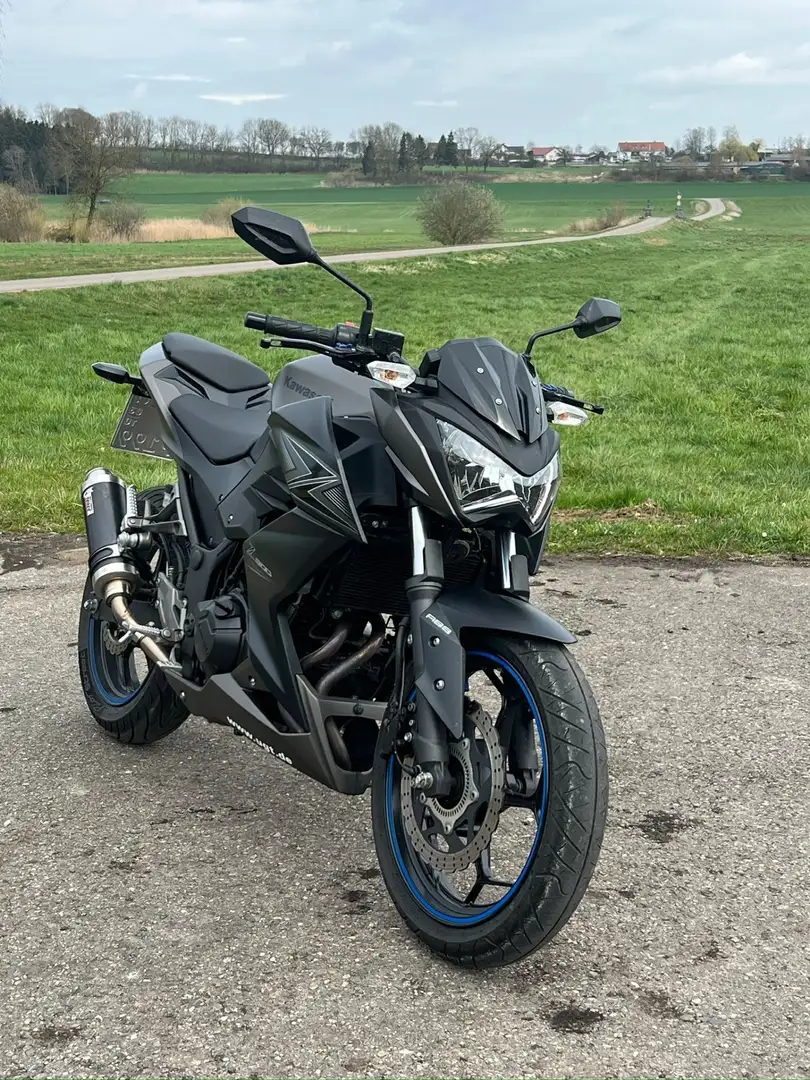 Kawasaki Z 300 Grigio - 1