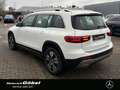 Mercedes-Benz GLB 180 PROGRESSIVE*7-SITZER*APPLECAR-PLAY*KAMER Blanc - thumbnail 4