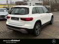 Mercedes-Benz GLB 180 PROGRESSIVE*7-SITZER*APPLECAR-PLAY*KAMER Blanc - thumbnail 6