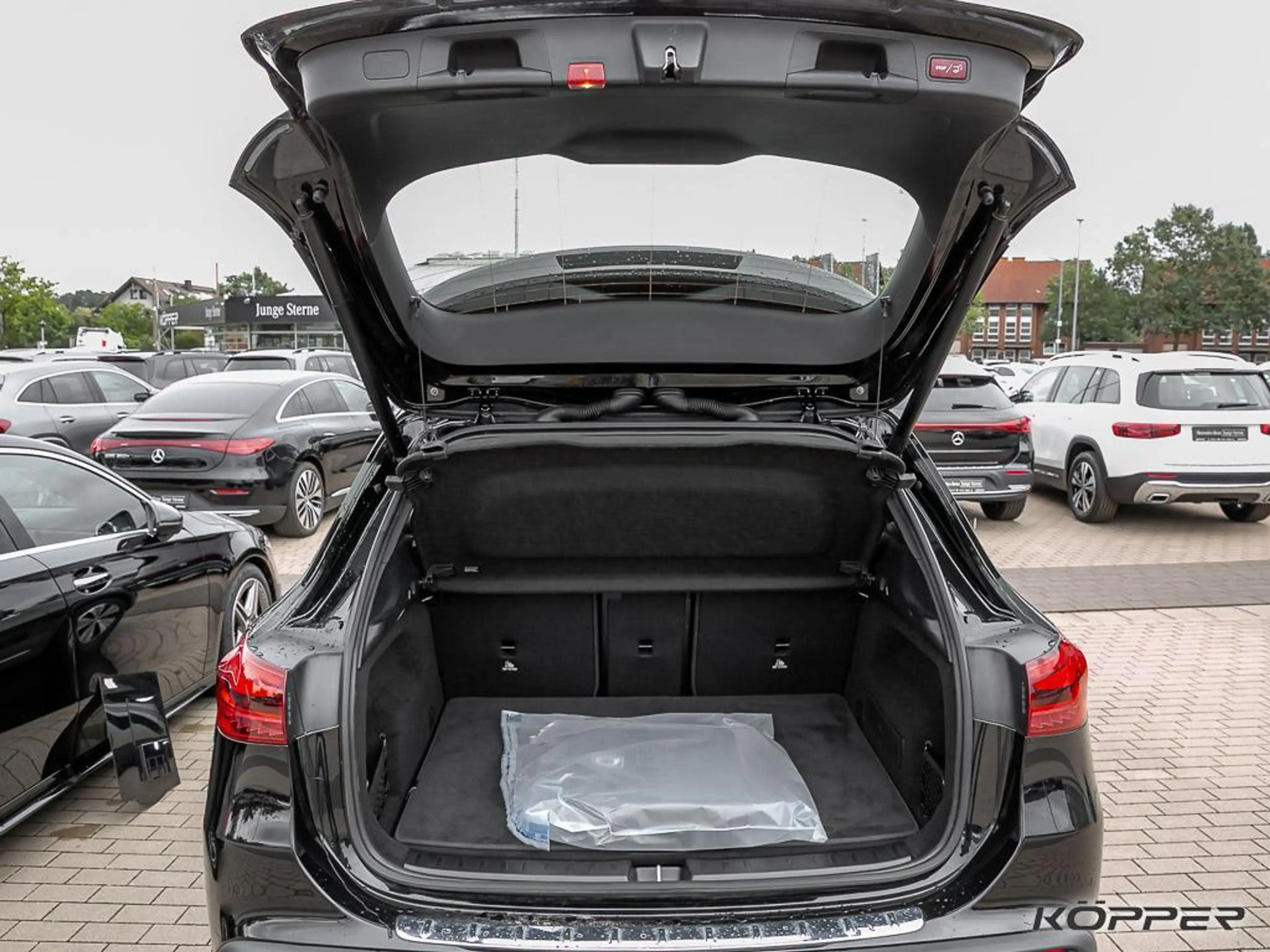 Mercedes-Benz EQA 250 + Progr. Advanced Kamera Lenkrad- + Sitzhzg. LE — photo 10